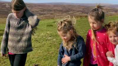 So, we found some lapwing
eggs just here. - Our Yorkshire Farm