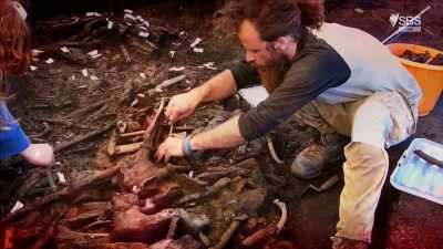 So we found things like wood
and bone and antler - Curse of the Ancients with Alice Roberts