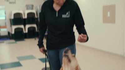 So we give him the opportunity
to live a different life. - Inside the Mind of a Dog
