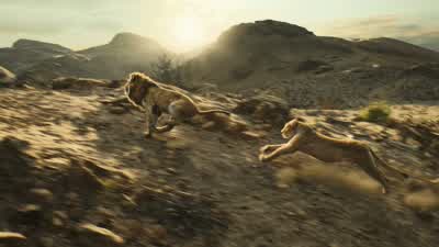 ♪ So, go in to a far-off land ♪ And be one with the great I am ♪ - The Lion King