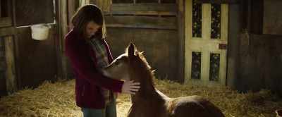 So, you got a name. - Dream Horse