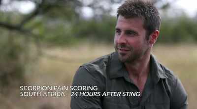 - So we got stung
by the big scorpion, - Kings of Pain
