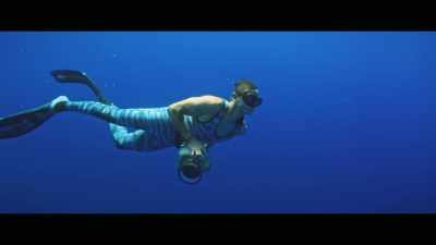 So growing up with that fear, - Envoy: Shark Cull