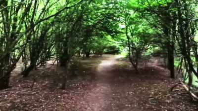 So this guy, he was
just out walking his dog, - The Osbournes Want to Believe