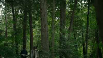 - So, Harold didn't give Wilbur - Frankie Drake Mysteries