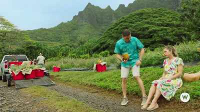 So, we have a choice to
make, we either keep walking, - You Had Me at Aloha