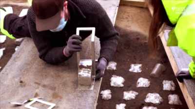 So we have
a really large puzzle to do now, - Curse of the Ancients with Alice Roberts