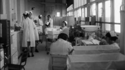 - So you have this big
nursery of crying babies - The Cult of The Family