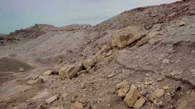 So, have they dug up
anything here that can help us - Fantastic Beasts: A Natural History