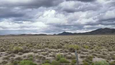 So we have this family policy, - Horror in the High Desert 2: Minerva