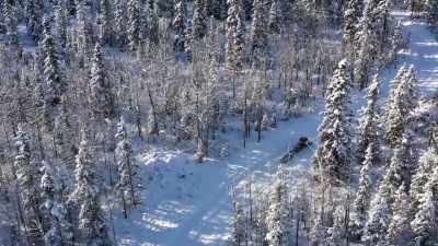 So we have to go on a scavenger
hunt to try and find bricks. - Life Below Zero: Next Generation