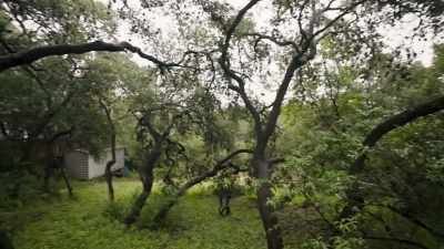 So, we have this great picture
window, - Why the Heck Did I Buy This House?