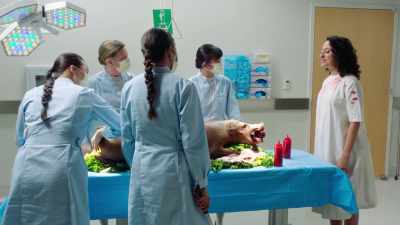 So you have time
to cut open that pig, - Three Busy Debras