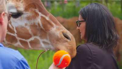 So he is by far our biggest, - Secrets of the Zoo