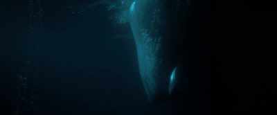 So when he levelled off, I thought,
"l wonder if he's going to make it." - In the Shadow of the Moon