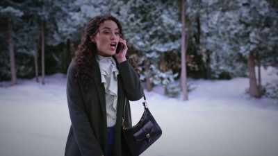 So, is he, um, alone? - Unwrapping Christmas: Olivia's Reunion
