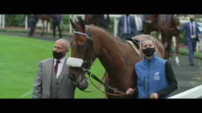 So to head into
Foxes Tales' race, - Horsepower