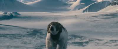So here he is. - The Golden Compass
