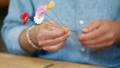 So here is our little
posy au flowers. - James May and the Dull Men