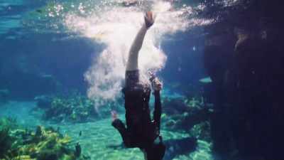 ♪ So, honey, don't look down ♪ - The Curious Case of Dolphin Bay