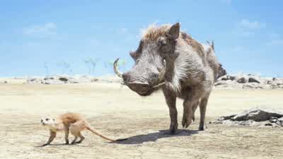 So how are you in as few words as possible - The Lion King