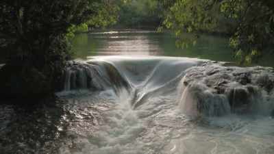 So how can any riverside plant
avoid this and travel upstream? - The Green Planet
