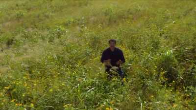 So, how did the painted
bee reveal the exact location - Cosmos: Possible Worlds
