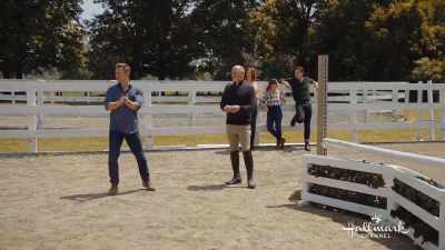 So how do you actually
get back on a horse? - Taking the Reins