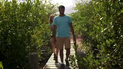 So how does a conservation
center like yours take care of - Harmony in Paradise