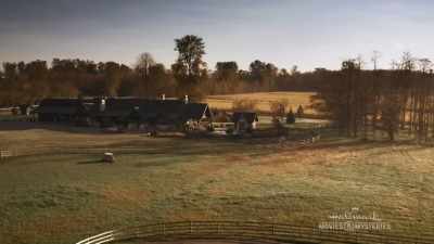  So, how long have Mary
 and Jackson been married? - Chronicle Mysteries: Vines that Bind