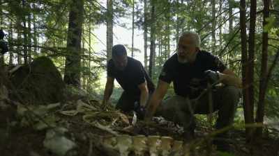 So, how many different animals
you think we're
looking at here? - Expedition Bigfoot