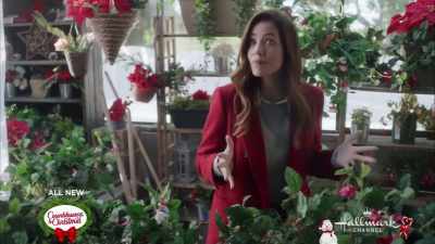So, how many sprigs
did you need, about seven? - Jingle Bell Bride