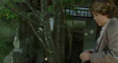 So how was your trip - Sleepwalk with Me