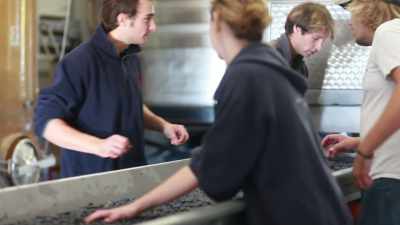 So, I actually found
an internship in Paso Robles - Tin City