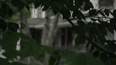 So, I asked the babysitter - Allen v. Farrow