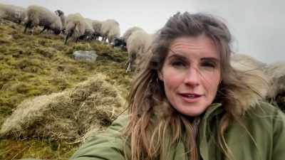 So, I brought my sheep
down off the tops this morning, - Our Yorkshire Farm