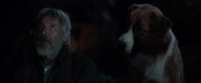So, I came up here. - The Call of the Wild