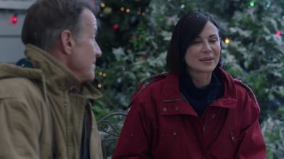 So I came up with a wild
scavenger hunt - Happy Holidays from Cherry Lane