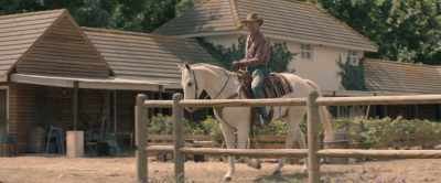 So, I continued my game with the boy. - Black Beauty