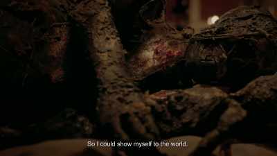 So I could show myself to the world. - Folklore