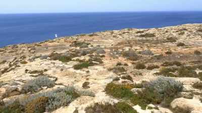 So, I decide to
keep heading West. - Atlantis Rising