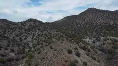 So I found a patch of trees
headed in that direction - Horror in the High Desert 2: Minerva
