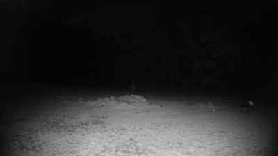 So, I got some motion detectors,
I got some chairs set up. OK. - Ghost Brothers: Lights Out