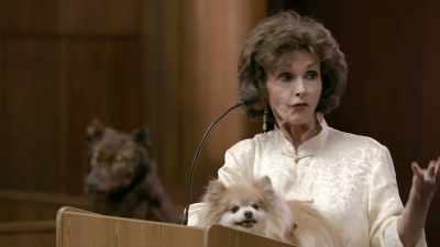 So, I have brought...
Because Fred, - Gary Busey: Pet Judge