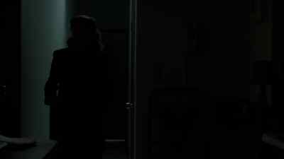 SO, I KNOW I HAVE
SOME CANDLES IN HERE, - The Americans