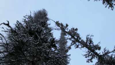 So, I need to get my sled
and come back tomorrow. - Life Below Zero: Next Generation