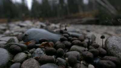 So, I need to keep my
eyes and ears tuned in. - Life Below Zero: Next Generation