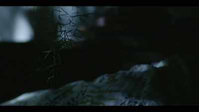 So I ran over - I'll Be Gone in the Dark