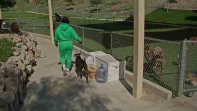 So I see her tail is getting higher. We don't want that, right? - Cesar Millan: Better Human, Better Dog