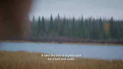 So, I shot my first moose
on this lake when I was just... - The Last Alaskans